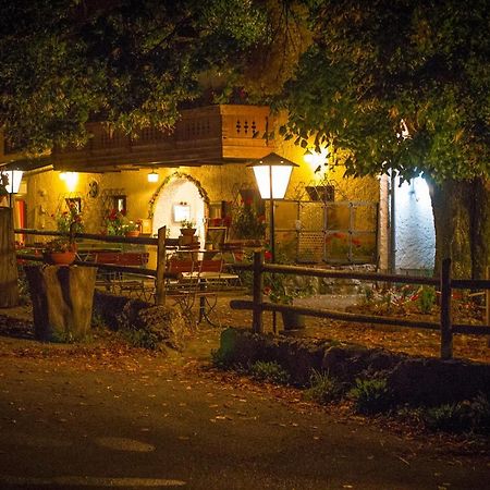 Gasthof Mitteregg Zum Kasnocknwirt Winkl  Екстериор снимка